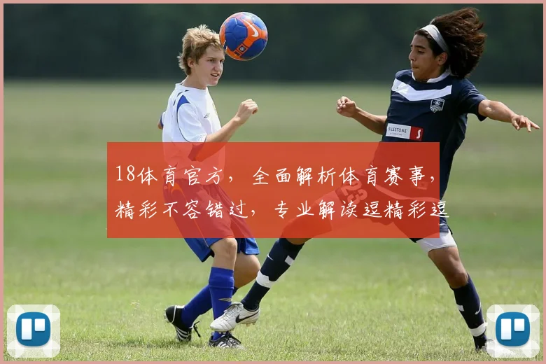 18体育官方，全面解析体育赛事，精彩不容错过，专业解读逗精彩逗刺激